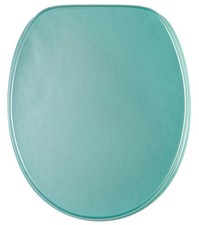 GLITTER TOILET SEAT |