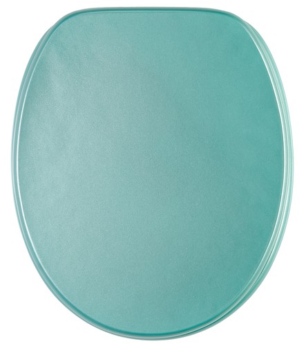 Glitter toilet seat - toilet, |