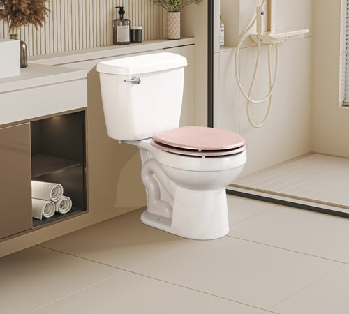 Glitter toilet seat - glitter,